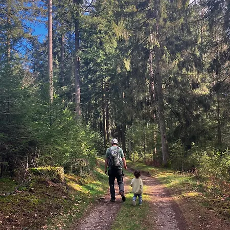 Charmante Met Prachtig Uitzicht * La Cellette (Puy-de-Dome)